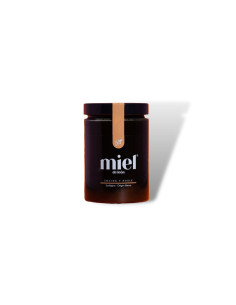 Miel de encina y roble Bio 450g Miel de Leon